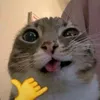 mirsamosaja02