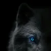lonewolf3319821612
