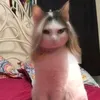 Bavino