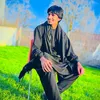 pachahalak1