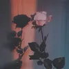 itsalya97