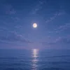 つき🌕