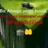 user1302812595173