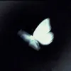 its_me_jade_takashi_hay2