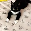 zenlyndsey