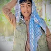 baidar.mahmodi
