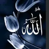 user4747704888275