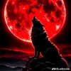 youngfox388