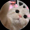 delisha.febriana