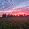 .lucek5