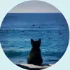 atena_f_f