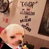 dylan.alejandro.m667