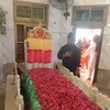 anila.rajput63