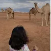 maryammoulay2