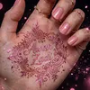 punjabikurigamial.com