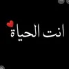 𓆩آنت الحیات𓆪
