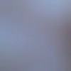 nguyn.th.vinh1698