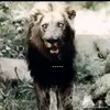 kara_2536