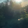 melaniekranz5