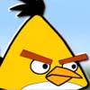 donleon0075