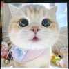 ngheo.hai
