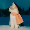 chloe_57050