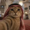 muhideen272