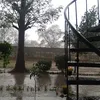 samina.tahir76