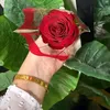 zarzsharief960