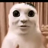 cxnn85
