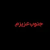 fereshteh2626