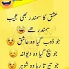 akhtar.ali7218