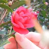 user6517108381240