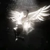 ficuss__1