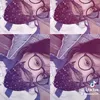 aduonqq123