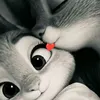 user974618684942