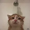 www.nomn0m