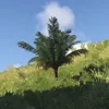 papayatat