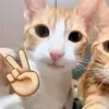 longg_212