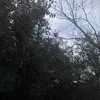 uhmidkwhatmyusertobesoye