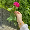 pakhi_4316