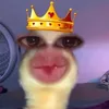 ayesharose96