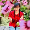 cotrinhmn.mebimxaykenh