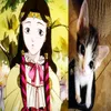 miusa0011