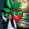 haider.ali02201