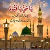 mubeen.ahamad3