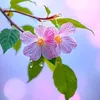 user1153198126251