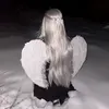 mistalii_48