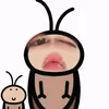 boimientaybasic