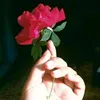 dola.akther602